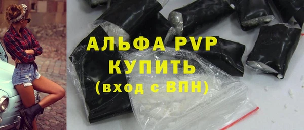 амф Верея