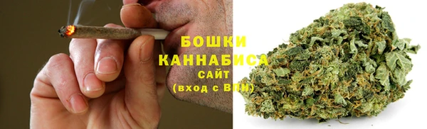 амф Верея