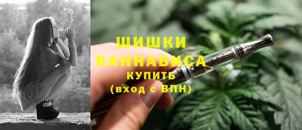 стаф Волосово