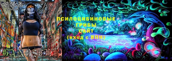 амф Верея