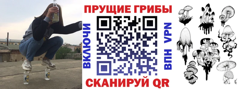 магазин    Кемерово  Галлюциногенные грибы Magic Shrooms 