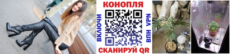 Канабис OG Kush  Кемерово 
